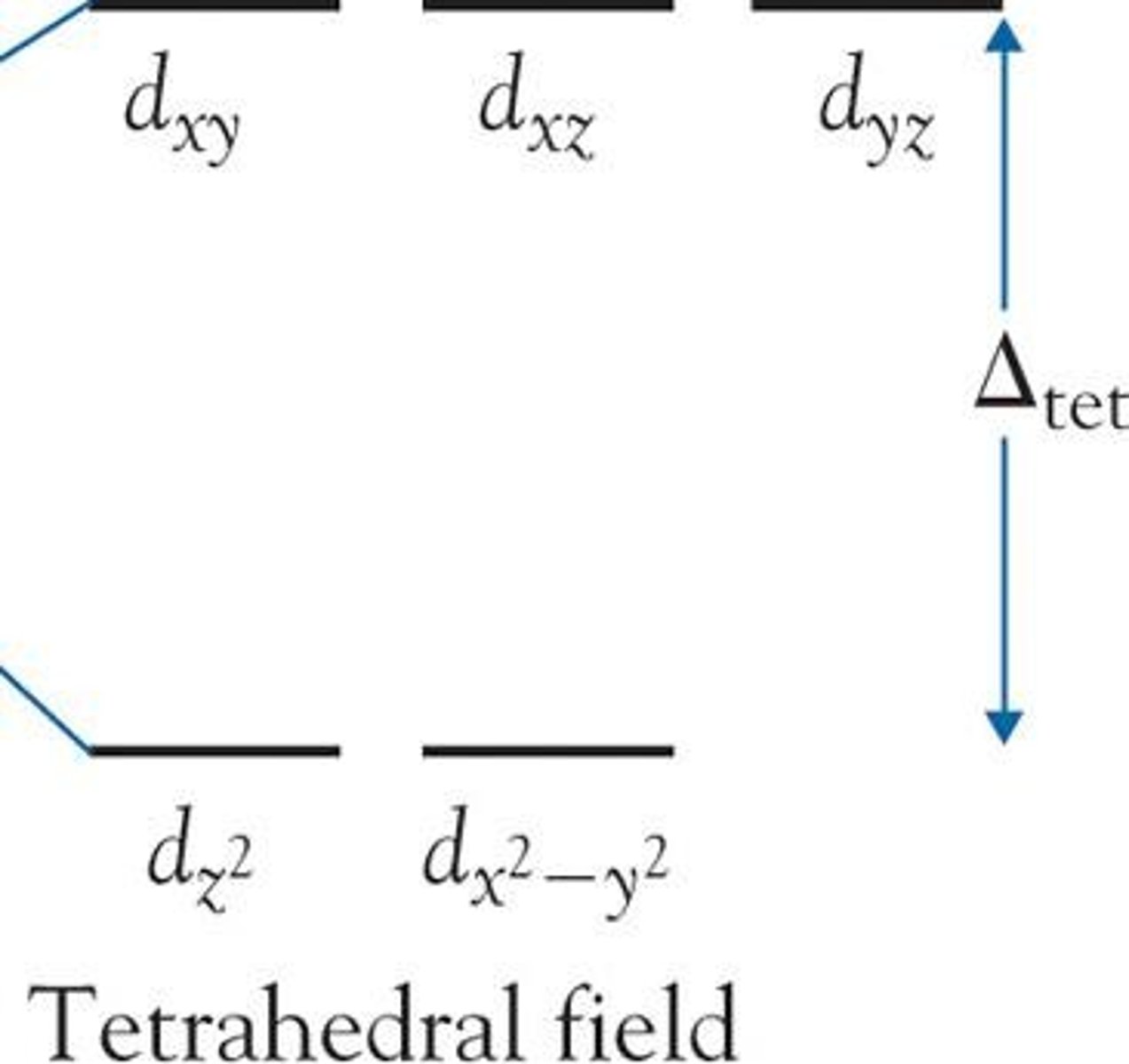 <p>d orbital splits into 2 energy levels (ground and excited state) when ligands bond with central metal ion</p>