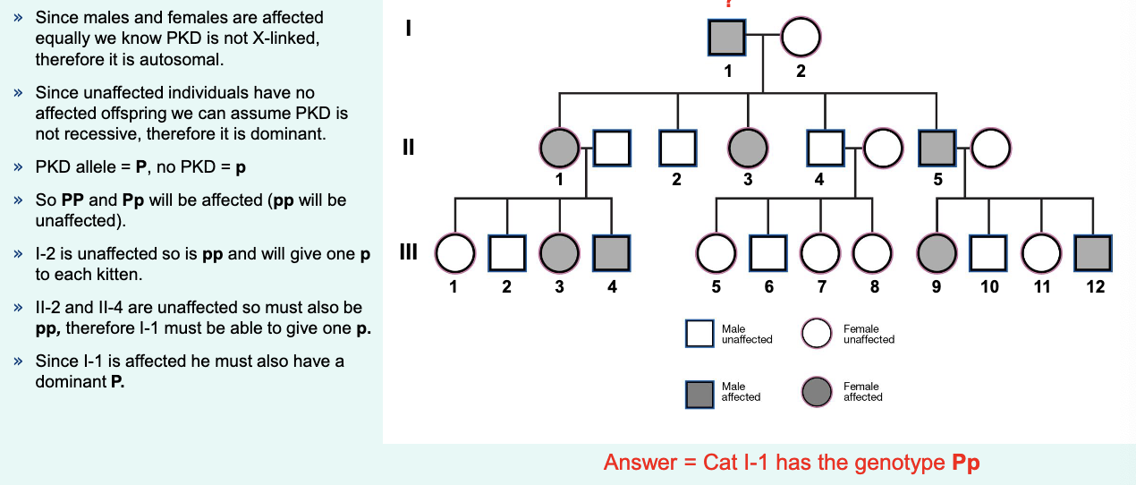 <p>you will break this down in revision dw</p>
