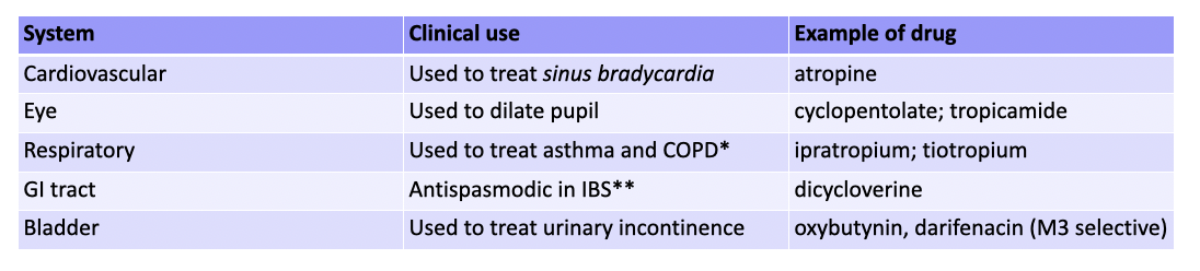 <p>These drugs will block the actions of the parasympathetic nervous system, and their effects include;</p><p>Dilation of the pupil (mydriasis); paralysis of ciliary muscle (cycloplegia);  increased intraocular pressure (therefore dangerous in glaucoma)</p><p>Dry mouth and skin; increase in body temperature</p><p>Tachycardia (increase in heart rate)</p><p>Bronchodilation </p><p>High doses are required to inhibit gastric motility; </p><p>Inhibition of gastric acid secretion </p><p>Inhibition of bladder emptying (urinary retention)</p><p></p><p></p><p>Since these drugs show little selectivity for muscarinic receptor subtypes, and muscarinic receptors are found throughout the PSNS, these drugs produce side effects such as blurred vision, dry mouth, constipation, heart palpitations/arrhythmias.</p>