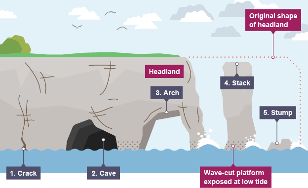 <p>headlands are eroded to form caves, arches, stacks and stumps</p>