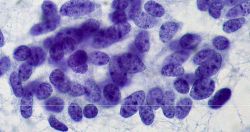 <p>describe features</p>