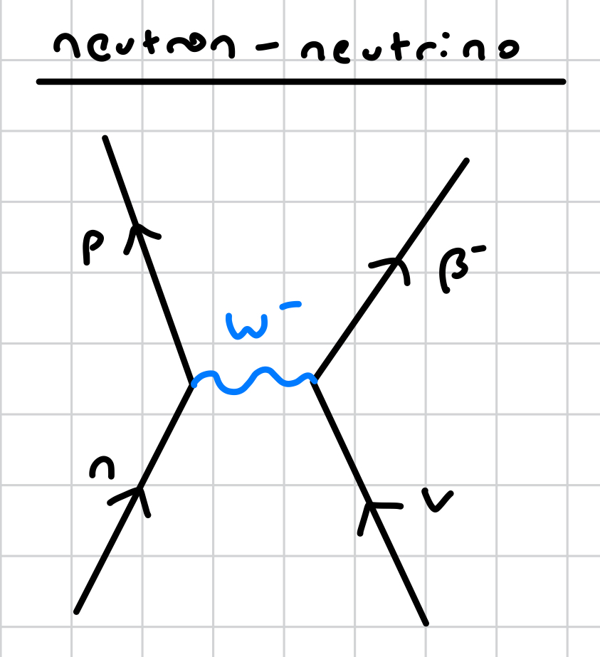 <ul><li><p>neutrino interacts with a neutron</p></li></ul><ul><li><p>W<sup>- </sup>boson released</p></li><li><p>interaction causes neutron to turn into a proton</p></li><li><p>a β<sup>-</sup> particle (electron) created and emitted as a result of the change</p></li></ul><p></p>