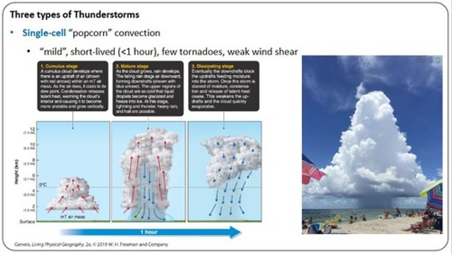 <p>Produce lightning and thunder, with approximately 40,000 occurring per day and 2,000 at any moment</p>