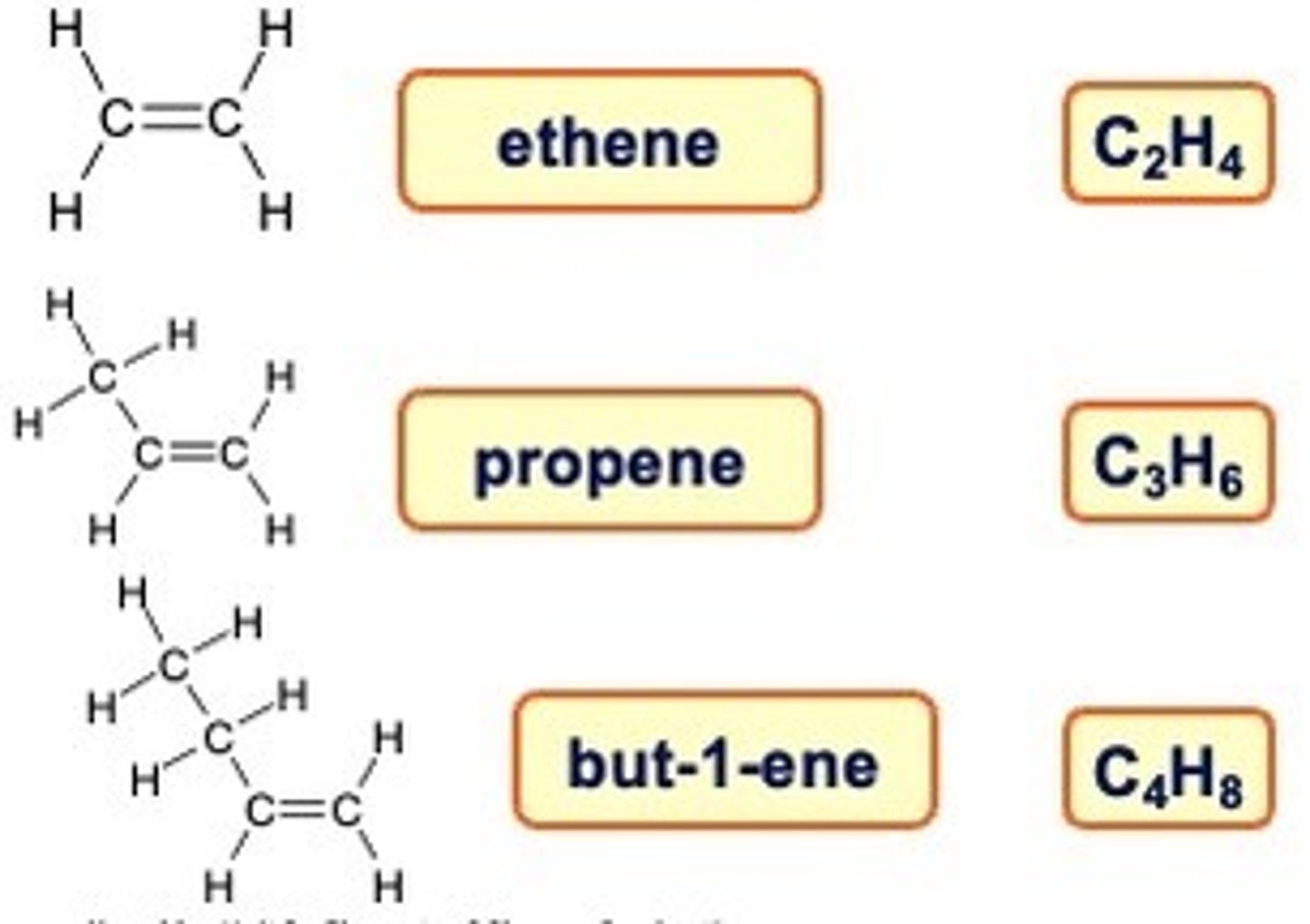 <p>homologous</p>