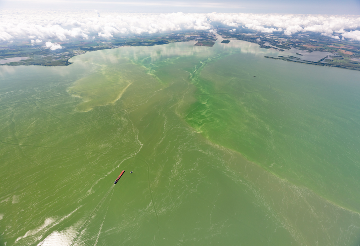 <p>The photo below shows the mouth of the Maumee River from above Lake Erie. For spatial perspective, the red object is a freighter moving toward the mouth. The nutrient-laden river waters have caused the massive algal bloom in the lake. As dead algal cells sink to the lake bottom, respiration by decomposer bacteria draw dissolved oxygen concentrations down to very low levels. These conditions favor _________________ selection toward increasingly ____________ cell size in bacteria populations as dissolved oxygen concentrations decline. a. stabilizing, fluctuating b. directional, smaller c. directional, larger</p>