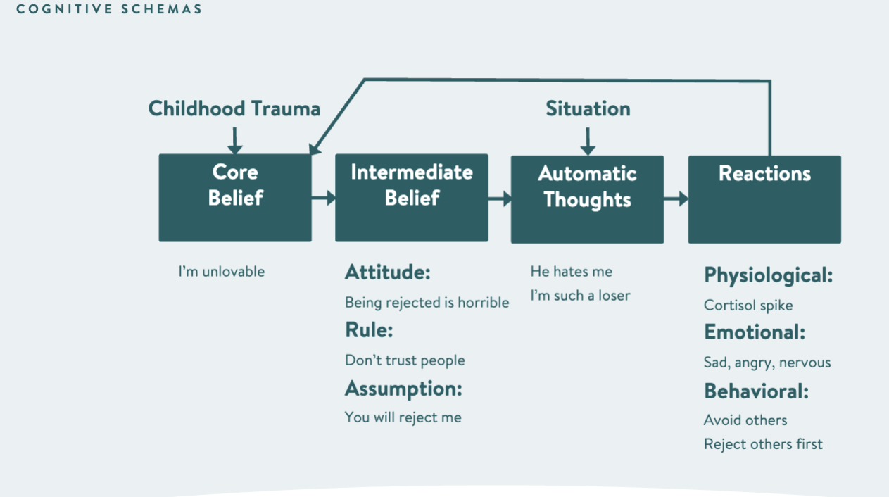 <ul><li><p><span>Show how childhood trauma can affect an individual's core belief, which then affects their intermediate belief which then affects their automatic thoughts that are caused by a situation and then affects their reactions which then circle back to their core belief.&nbsp;</span></p><ul><li><p><strong><span>Discusses how cognitive schemas comprise core beliefs, intermediate beliefs, automatic thoughts, reactions to those thoughts and how they are all connected.&nbsp;</span></strong></p></li></ul></li><li><p><span>An example would be if someone thought the world was dangerous, they may not trust people or settings outside of their home, so they do not put themselves in situations that might be dangerous (going to a party). If they are in a stressful situation, they might have the automatic thought that someone is following them which results in emotions like fear and anxiety, and cause their heart rate and breathing to increase. This reaction then strengthens their core belief.</span></p></li></ul>