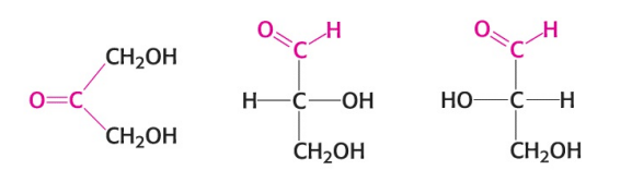 <p>Name the monosaccharide in the image (right).</p>