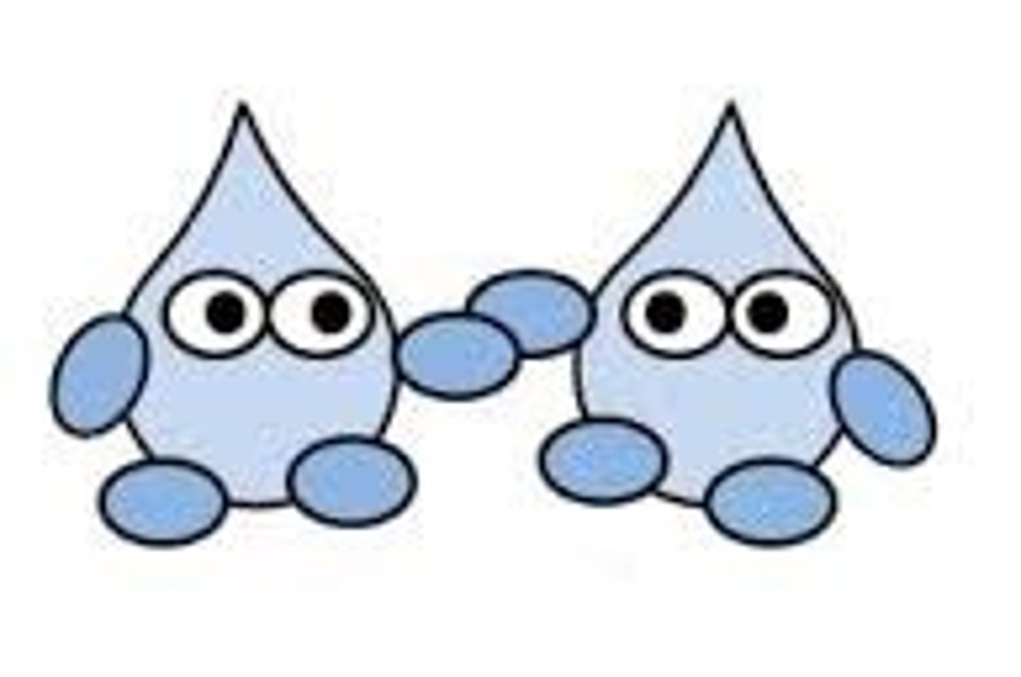 <p>Water molecules 'stick together' due to hydrogen bonds.</p>