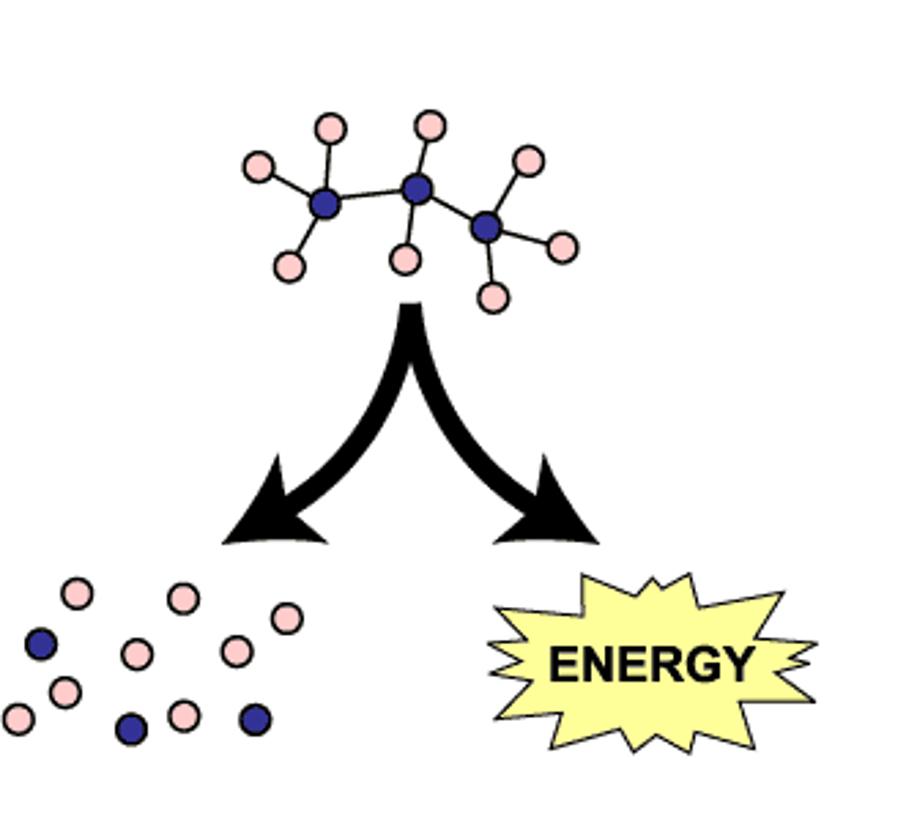 <p>release energy by breaking down large molecules into smaller ones (polymer -> monomer)</p>