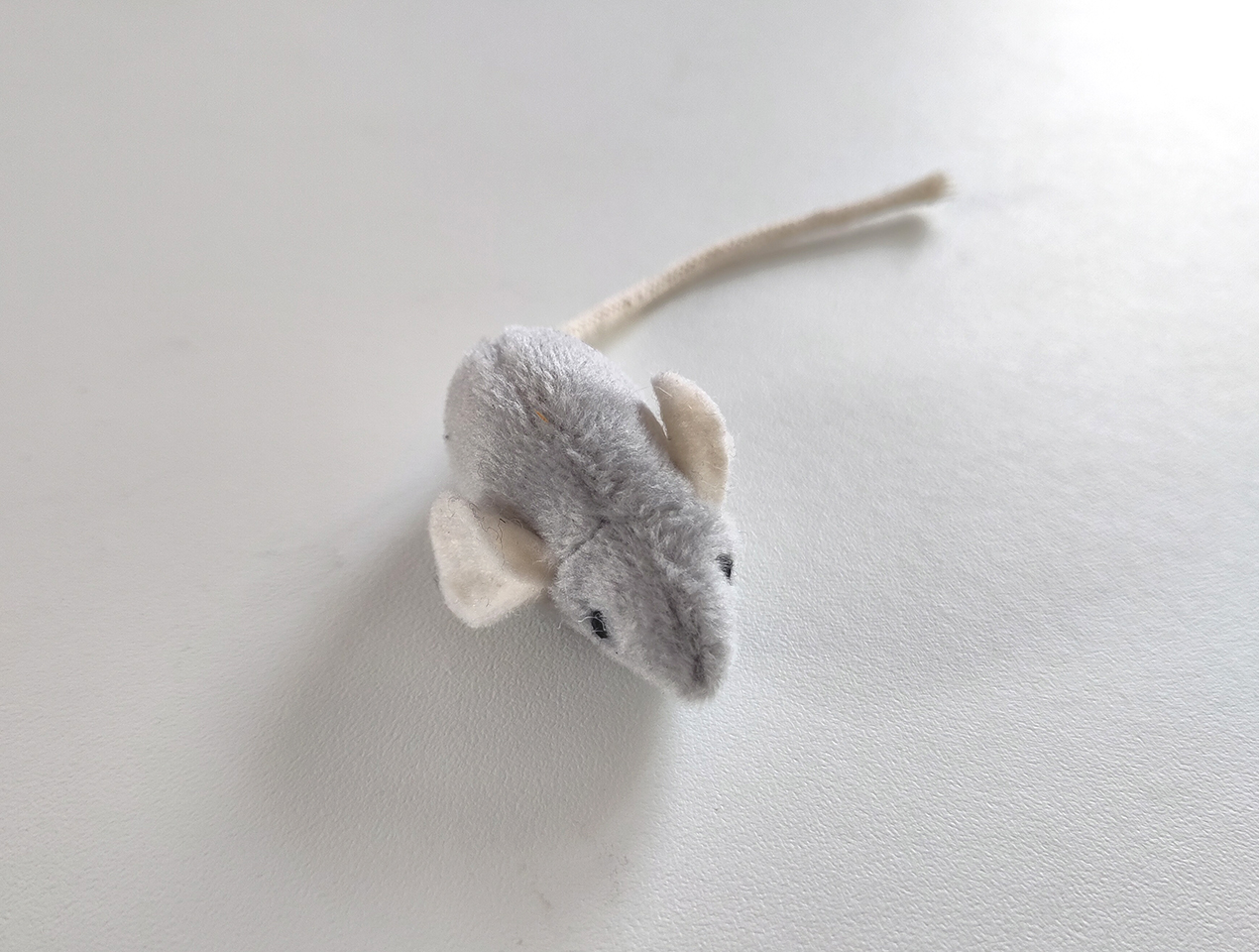 <p>de muis</p>