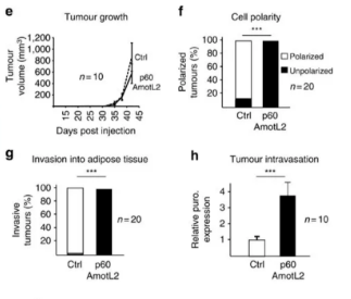 <p>both! </p><p>animal model - mice </p>