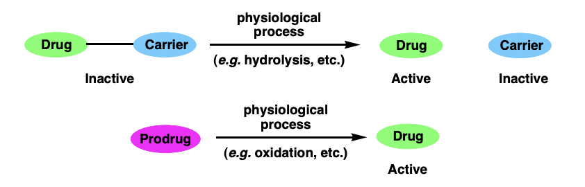 <p>therapeutic agents that are converted to their active form <em>in vivo</em></p><p>= converted <strong>by early metabolism (phase I processes) </strong></p><p>= increased bioavailability </p>