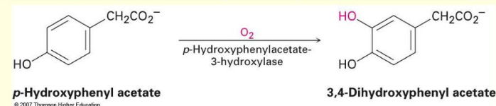 <p>What type of reaction is this:</p>