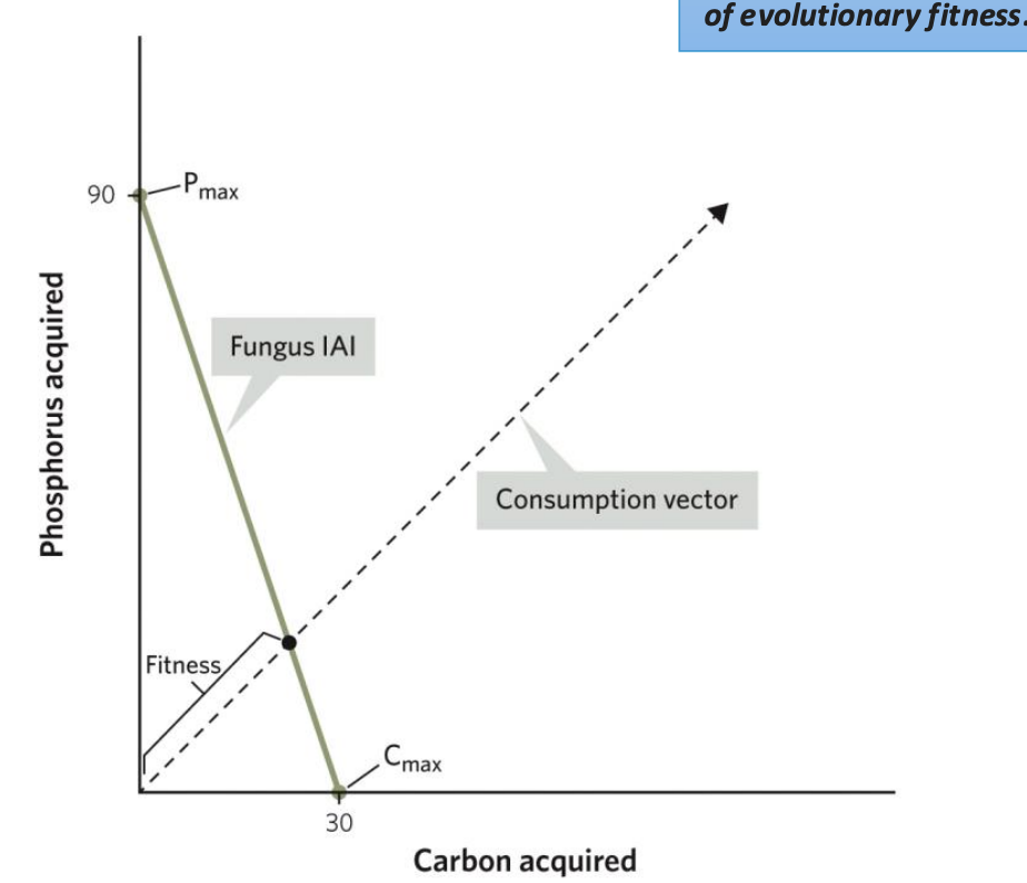 <p>Resource acquisition and the IAI for mycorrhizal fungus</p>