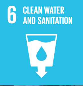 <p>Clean Water and Sanitation</p>