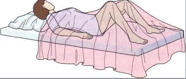 <p><span style="background-color: transparent;"><span>Dorsal recumbent</span></span></p>