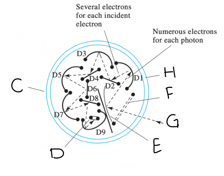<p>Referring to the diagram, identify the relevant components of a photomultiplier tube. Photomultiplier tubes (PMTs) are among the most sensitive radiation transducers for ultraviolet and visible light. Light (G) entering a PMT first passes through a ________(F) before striking a photoemissive _________(E). The resulting photoelectrons (b) strike a series of  ________ (H) before being collected at the _________(D). The entire PMT assembly is encased in a __________ (C) which is sealed and evacuated to allow the photoelectrons (B) and secondary electrons (A) to travel without interference.</p>