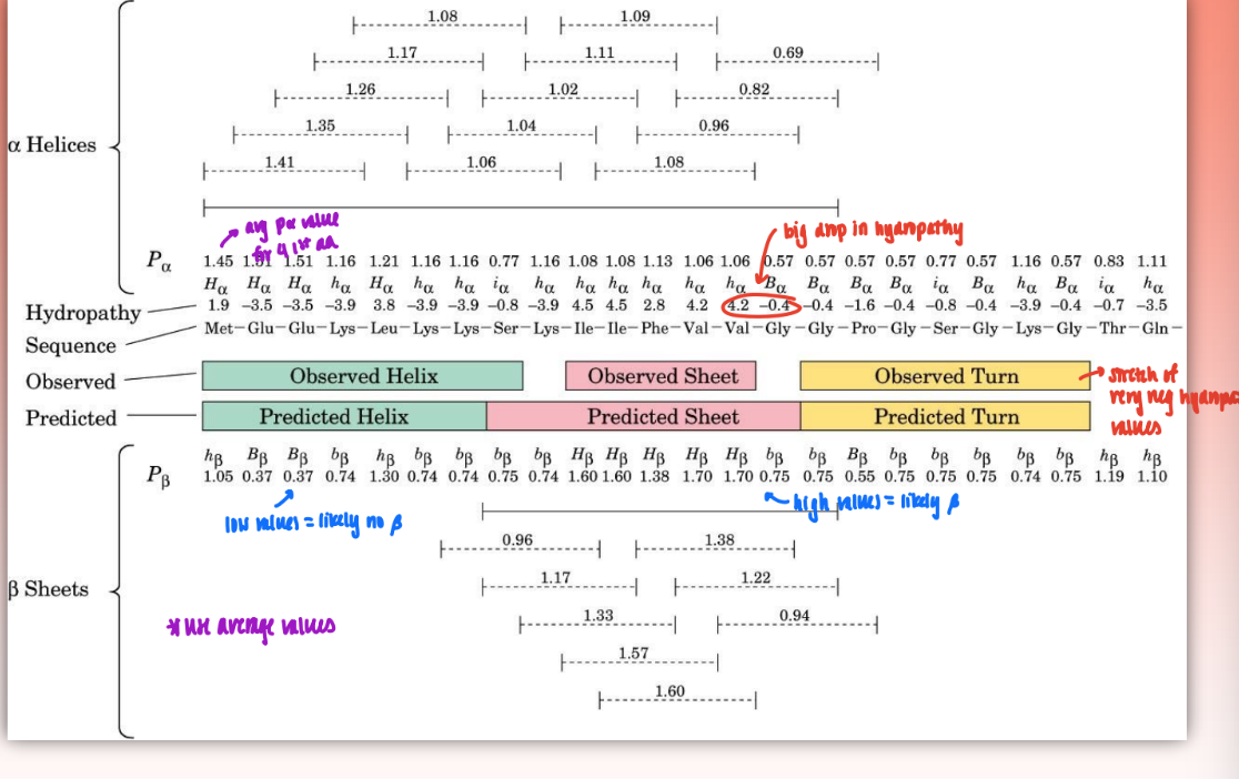 <ul><li><p>set of rules that allows you to determine what secondary structure will arise based on characteristics of primary structure/amino acid composition</p></li><li><p>uses frequency and propensity</p></li><li><p>input primary struc into computer = determine where alpha, beta, and turns will occur based on polypep chain &amp; propensity &amp; hydropathy values</p></li></ul><p></p>