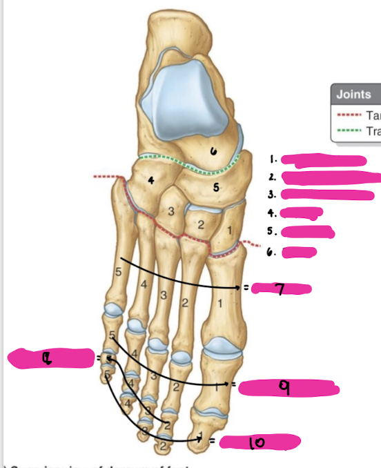 <p>6</p>