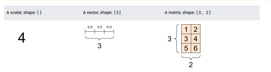 <p>A scalar, verctor and matrix</p>