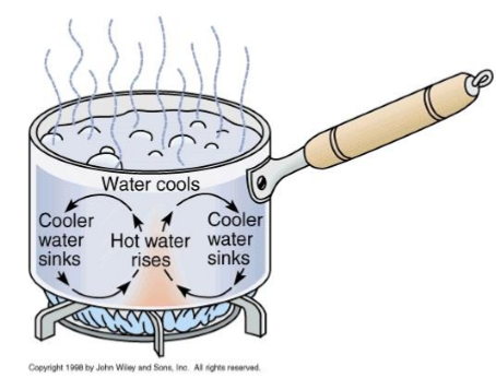 <ul><li><p><strong>occurs in the mantle</strong></p></li><li><p>sequence</p><ol><li><p><strong>bottom most water is heated</strong></p></li><li><p><strong>expands and becomes less dense</strong></p></li><li><p><strong>rises</strong></p></li><li><p><strong>that heat from the water is lost at the surface</strong></p></li><li><p><strong>causes it to contract</strong></p></li><li><p><strong>becomes more dense and sinks back to the bottom</strong></p></li></ol></li></ul><p></p>