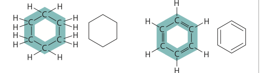 <p>structural isomer</p>