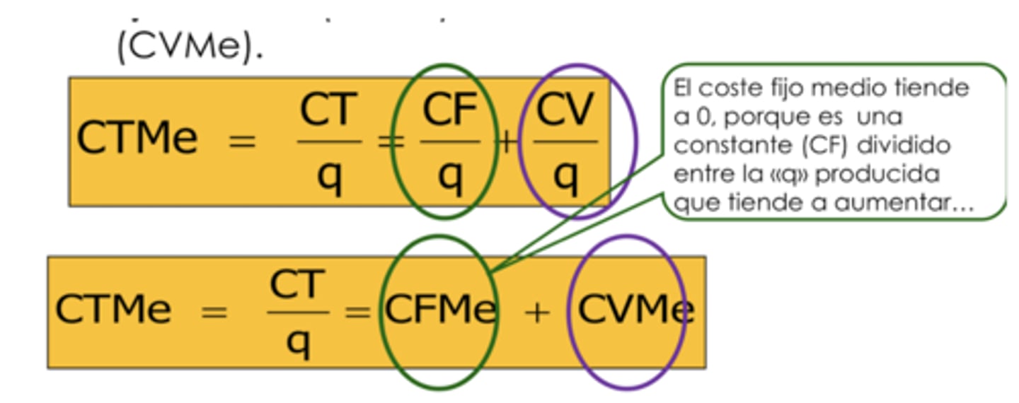 <p>CTMe</p>