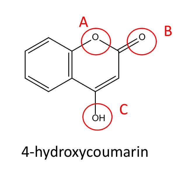 <p><strong>Give a logical prediction of the function group that most likely undergo glucuronidation.</strong> (Just type the letter)</p>