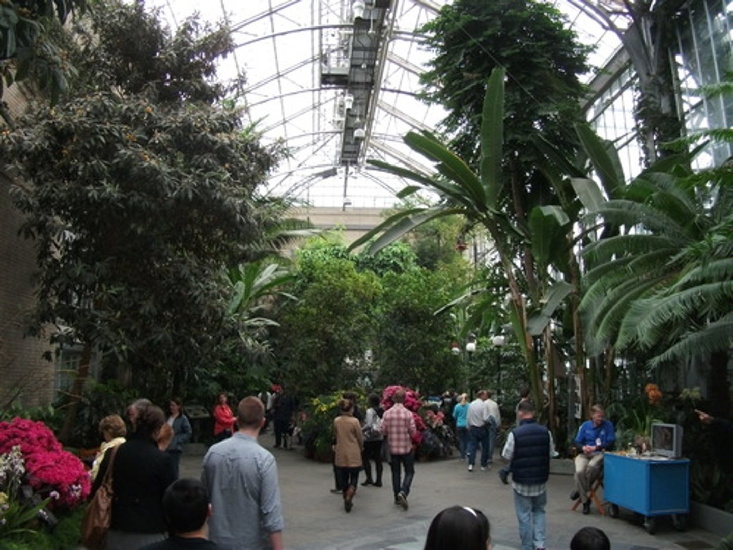 <p>vườn thực vật</p>