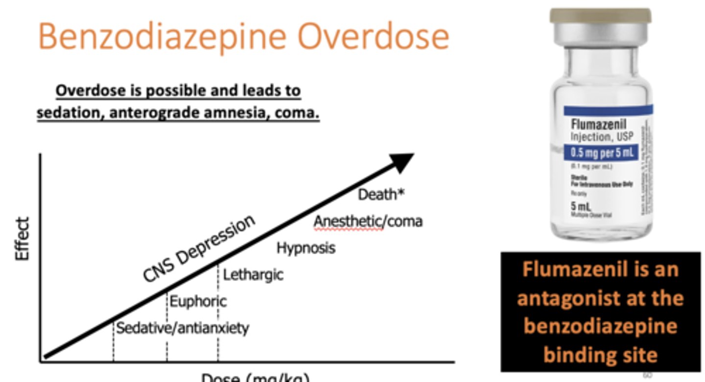 <p>Benzodiazepine Overdose</p>