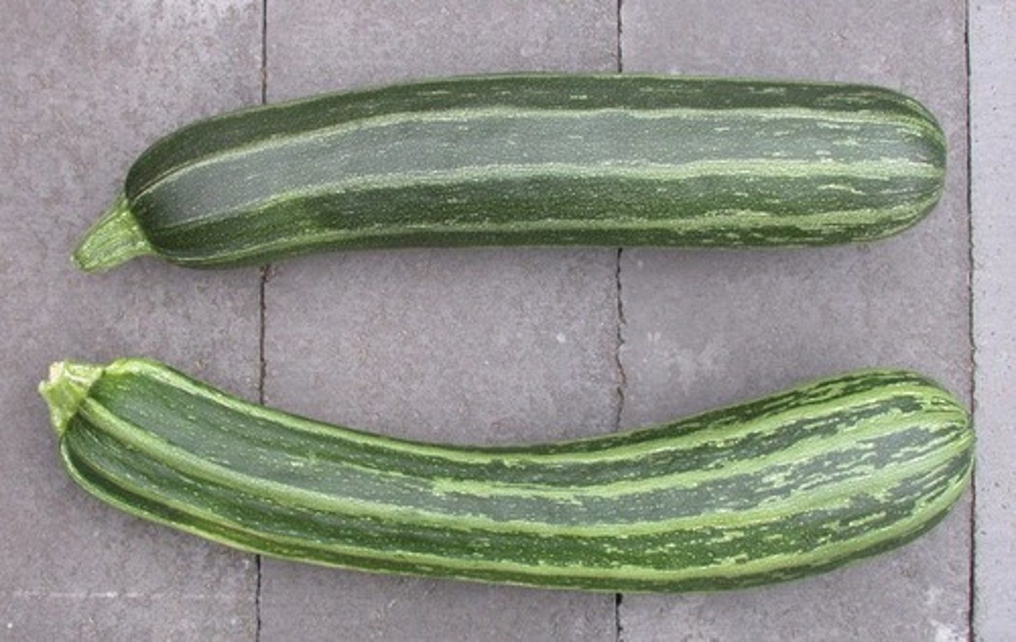 <p>abobrinha</p>