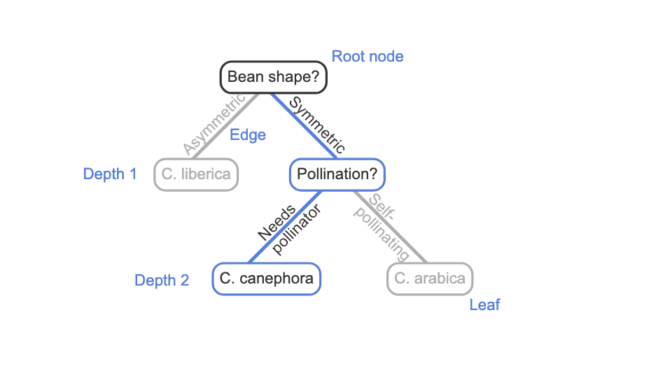 <p><span style="font-size: medium">a hierarchical structure with no loops made up of two objects: nodes and edges.</span></p>