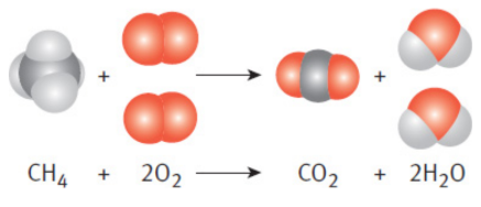 <p>involves a fuel (usually a hydrocarbon, but can be sulfur or sugars) and an oxidant (normally oxygen) to form the two products of carbon dioxide and water</p><p>ex. methane</p>