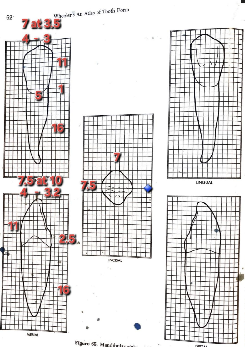 knowt flashcard image