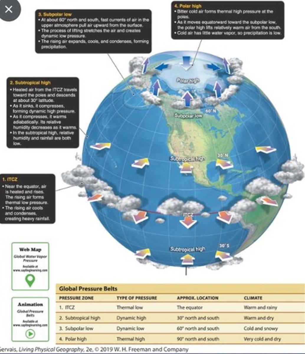 <p>A migrating area of low pressure associated with equatorial and tropical regions.</p>
