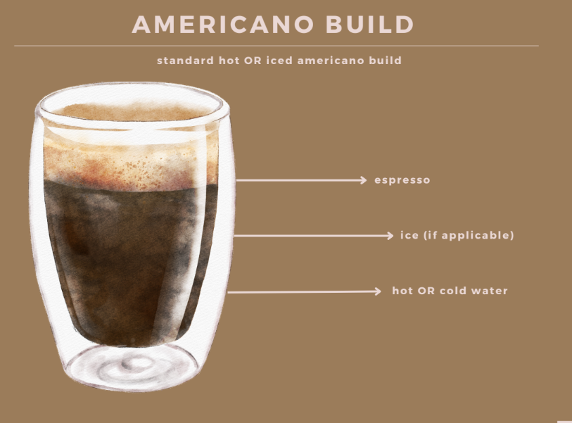 <ul><li><p><strong>short</strong>: 1 shot</p></li><li><p><strong>tall</strong>: 2 shot</p></li><li><p><strong>grande</strong>: 3 shot</p></li><li><p><strong>venti</strong>: 4 shot</p></li></ul><p></p>