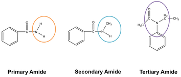 <p>amide</p><ul><li><p>amides are synthesized from a carboxylic acid by replacing the -OH group with amino group that may or may not be substituted </p></li></ul><p></p>