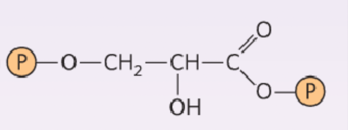 <p>What structure is this?</p>