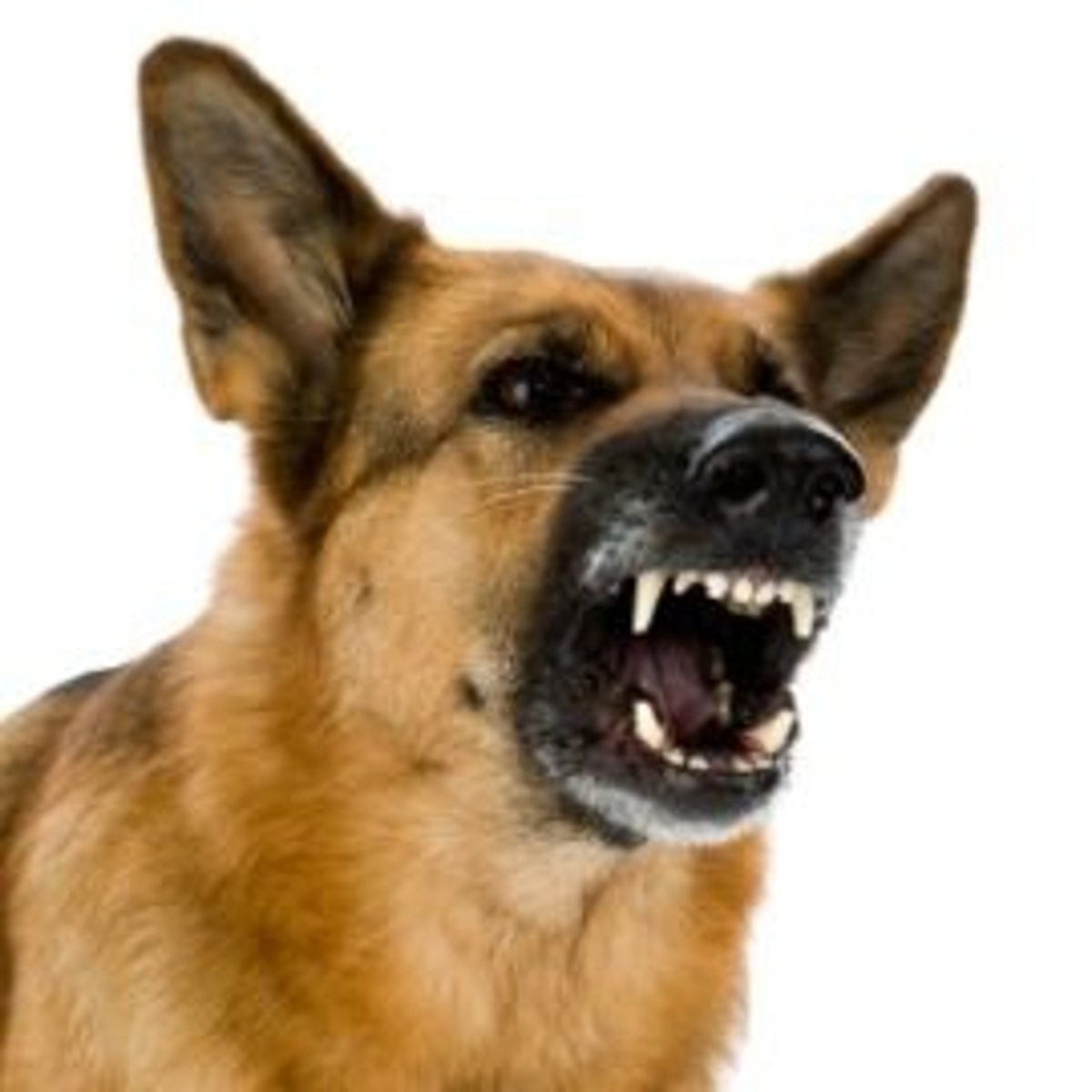 <p>(adj.) tending to cause harm; being oppositional or adverse</p><p>SYNONYMS:: unfriendly, hostile, antagonistic, contrary<br>ANTONYMS: friendly, hospitable, kind</p>