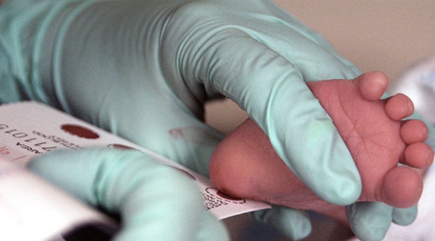 <p>The analysis of a neonate's blood for metabolic or genetic disorders to prevent mental retardation, disability or death</p>
