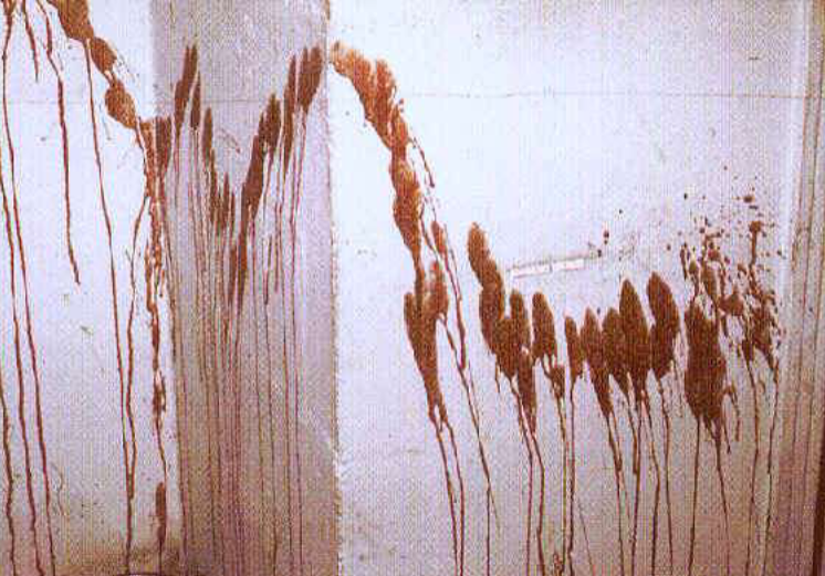 <p>What bloodstain pattern is this?</p>