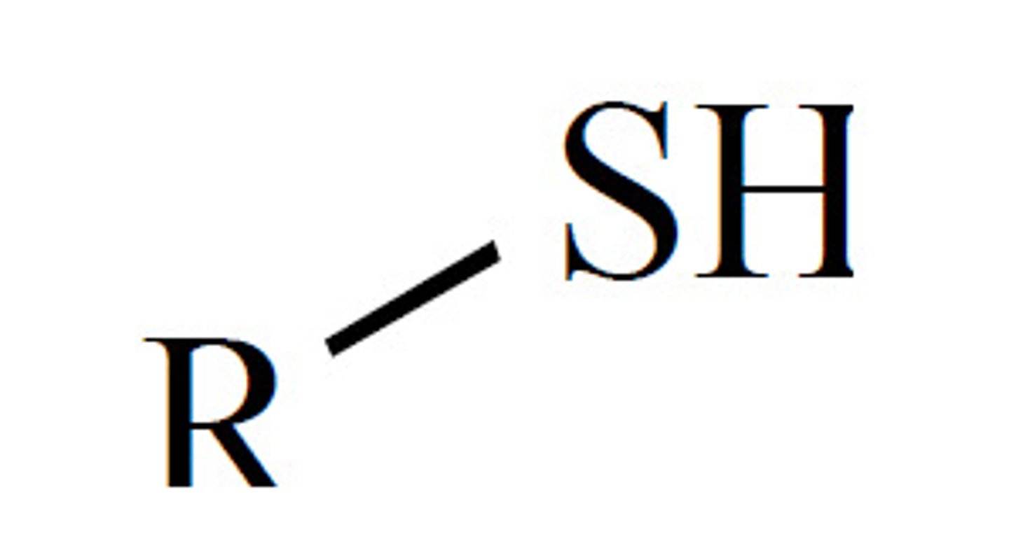<p>R group connected to SH</p>
