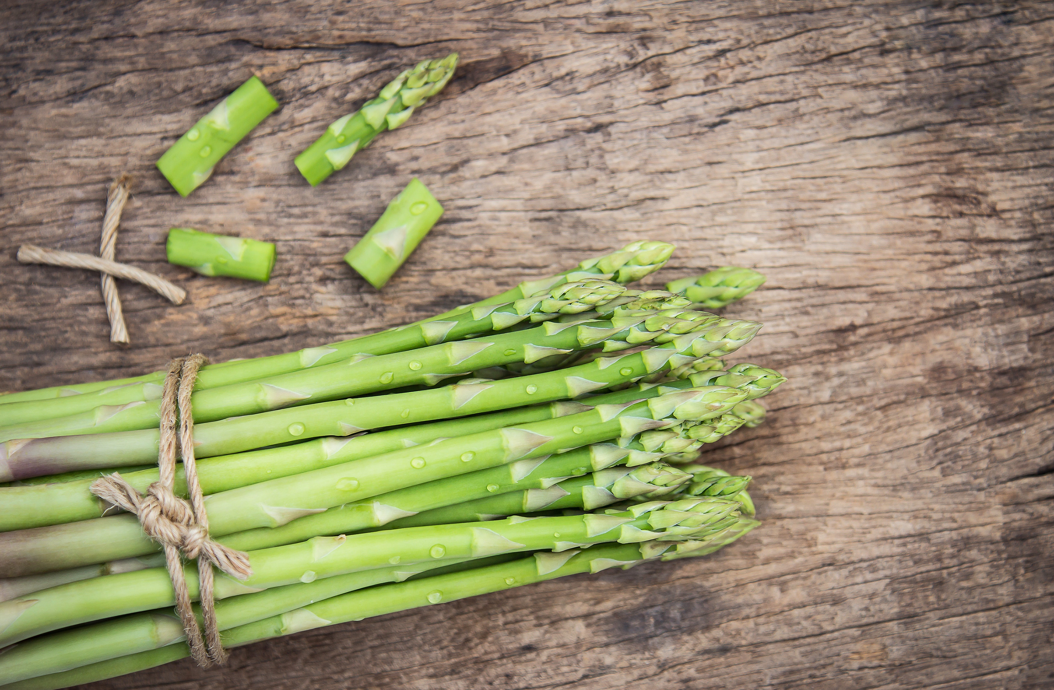 der Spargel
