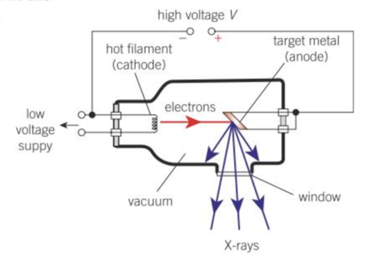 <p>X-ray tube - consists of a vacuum tube containing two electrodes</p><p>- an external power supply is used to create a large p.d. (30-100kV) between the cathode (the filament) and the anode (the target metal) that has a high melting point</p><p>- the filament produces electrons by thermionic emission, which are accelerated toward the target metal via the large P.D.</p><p>- the anode is shaped so that the X-rays are emitted in the desired direction through a window</p><p>- the tube is lined with lead to shield the radiographer from any X-rays emitted in other directions</p><p>- An evacuated tube is needed so electrons pass through without interacting with gas atoms.</p>