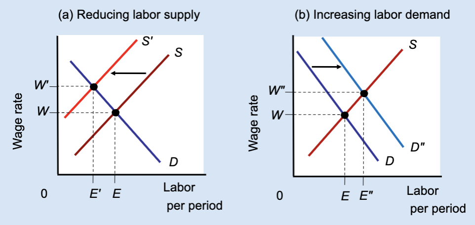 <p>In Panel (a), what happens to the wage?</p>