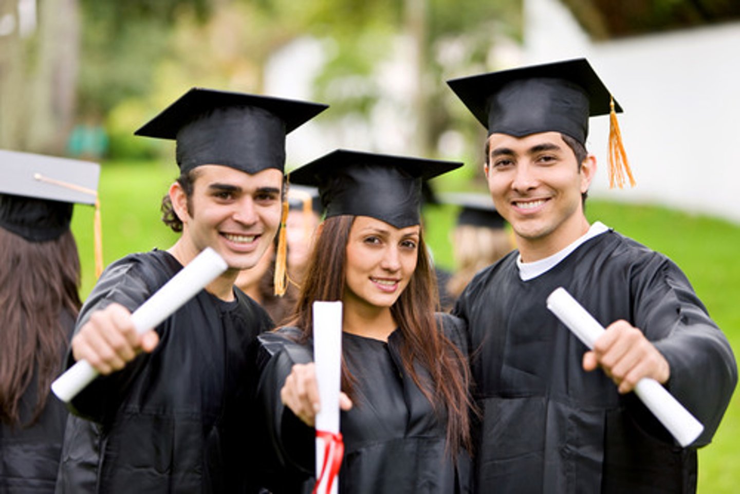 <p>to graduate(from, in)</p>
