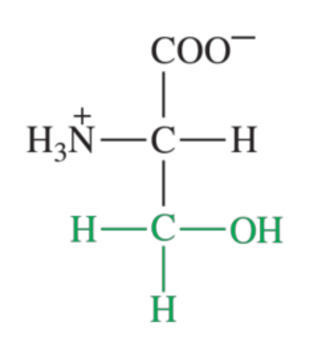<p>What amino acid is shown in the image?</p>