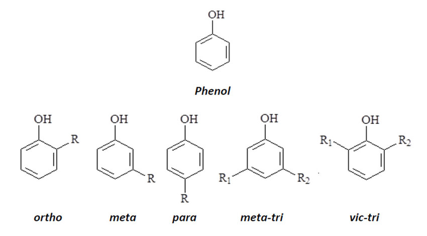 <p>phenol</p><ul><li><p>benzene ring with -OH group attached </p></li><li><p>- named for the relative position of the -OH group </p></li></ul><p></p>