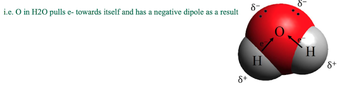 <ul><li><p>covalent bonds can be polar or non-polar</p><ul><li><p>polar - unequal e- sharing which creates ± dipoles</p></li><li><p>non-polar - equal e- sharing</p></li></ul></li><li><p>if the difference in electronegativity between the atoms is >0.5, the atom with the higher EN attracts more e-s</p></li></ul><p></p>