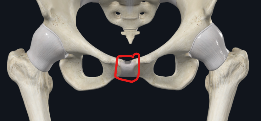 <p>What is this part called?</p>
